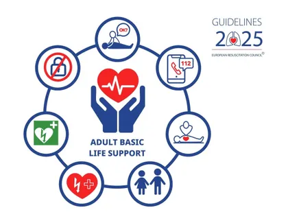 Europos gaivinimo tarybos (ERC) 2025 rekomendacijos: naujienos pagrindinio gaivinimo srityje (BLS)
